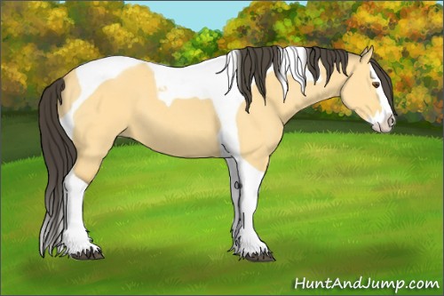 Horse Color:Buckskin Dun Splash Tobiano 