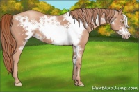 Horse Color:Gold Champagne Frame 