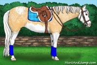 Horse Color:Silver Buckskin Ice Splash Varnish 