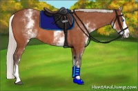 Horse Color:White Spotted Silver Bay Splash 