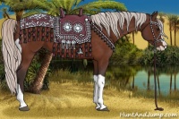 Horse Color:Silver Bay Splash Tobiano 