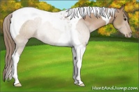 Horse Color:Black Pearl Tobiano Rabicano 