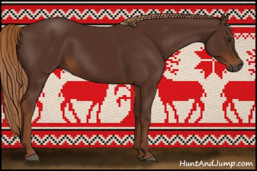 Horse Color:Gray Chestnut