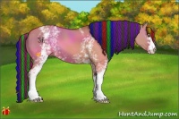 Horse Color:Painted White Spotted Bay Dun