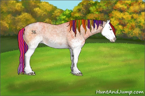 Horse Color:Painted White Spotted Chocolate Bay Ice Dun Splash Rabicano 