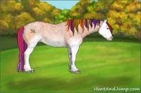 Horse Color:Painted White Spotted Chocolate Bay Ice Dun Splash Rabicano