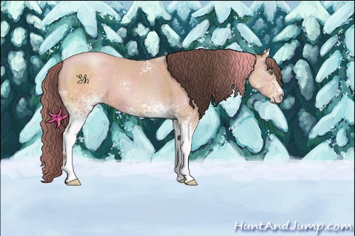 Horse Color:White Spotted Amber Champagne 