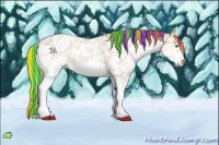 Horse Color:Painted White Spotted Amber Champagne Dun Splash Appaloosa 
