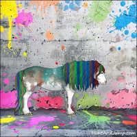 Horse Color:Painted White Spotted Brown Roan Splash 