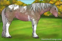 Horse Color:Watercolor Silver Brown Tobiano Appaloosa 