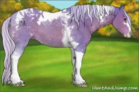 Horse Color:Watercolor Silver Bay Sabino Tobiano