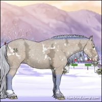 Horse Color:Watercolor White Spotted Silver Amber Cream Champagne Ice 