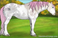 Horse Color:Watercolor White Spotted Amber Champagne Ice Splash