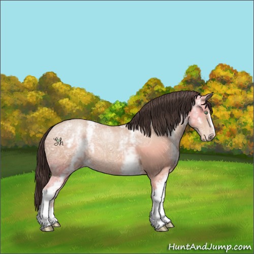 Horse Color:White Spotted Amber Champagne Ice 