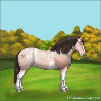 Horse Color:White Spotted Amber Champagne Ice 