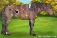 Horse Color:Nacre White Spotted Brown