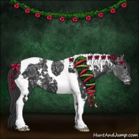 Horse Color:White Spotted Black Ice Tobiano