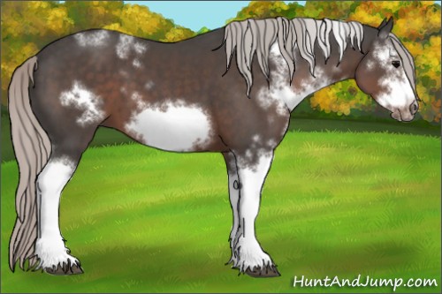 Horse Color:White Spotted Silver Black Frame 