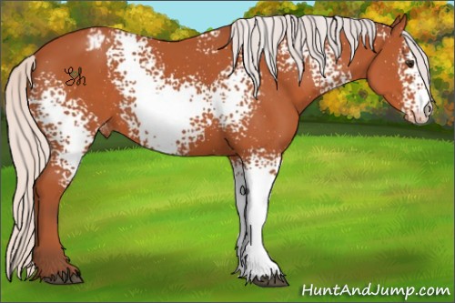 Horse Color:White Spotted Silver Brown Appaloosa 