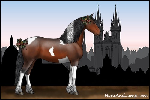 Horse Color:Bay Tobiano 