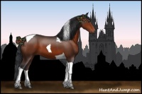 Horse Color:Bay Tobiano 