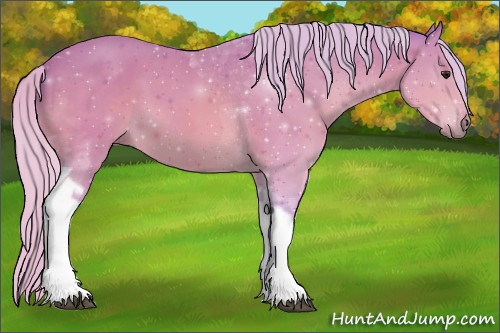 Horse Color:Watercolor Silver Bay Tobiano