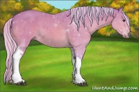 Horse Color:Watercolor Silver Bay Tobiano 