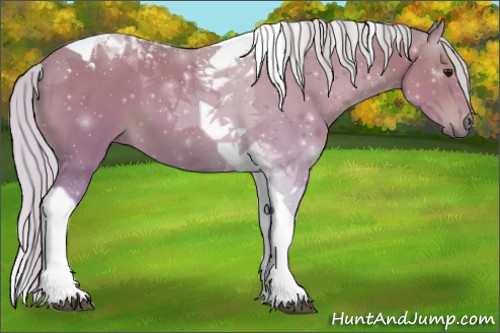 Horse Color:Watercolor Silver Bay Tobiano