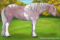 Horse Color:Watercolor Silver Bay Tobiano 
