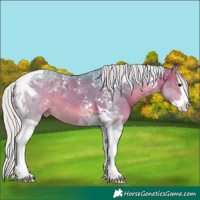 Horse Color:Watercolor Silver Bay Splash Tobiano 