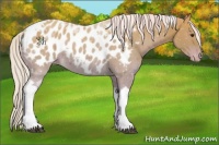 Horse Color:Watercolor Silver Bay Tobiano Near Leopard 
