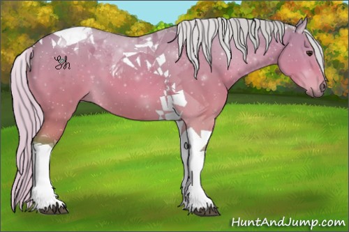 Horse Color:Watercolor Silver Bay Dun Tobiano