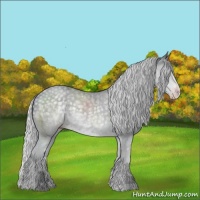 Horse Color:Silver Classic Champagne Chinchilla 