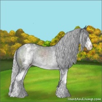 Horse Color:White Spotted Silver Classic Champagne Chinchilla