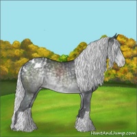 Horse Color:Silver Black Chinchilla Varnish 