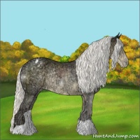 Horse Color:Silver Smoky Black Chinchilla Ice Appaloosa Rabicano
