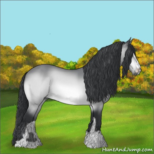 Horse Color:Brown Chinchilla Sabino 