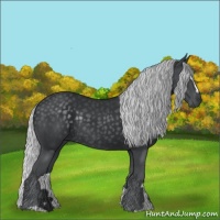 Horse Color:Silver Black Chinchilla Sabino Rabicano