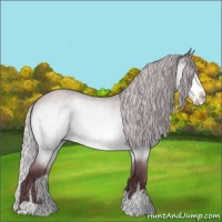 Horse Color:Chocolate Silver Brown Chinchilla Roan Sabino