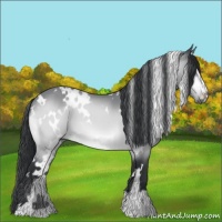 Horse Color:White Spotted Brown Chinchilla Sabino