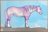 Horse Color:Watercolor Silver Bay Onyx Frame 