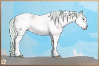 Horse Color:Watercolor White Spotted Silver Brown Chinchilla Onyx Tobiano Frame 