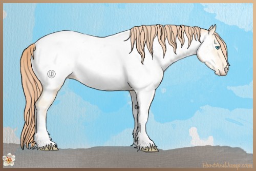 Horse Color:Amber Cream Champagne Pearl Tobiano Near Fewspot Rabicano 