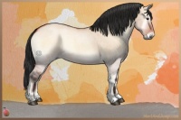 Horse Color:Bay Roan Onyx 
