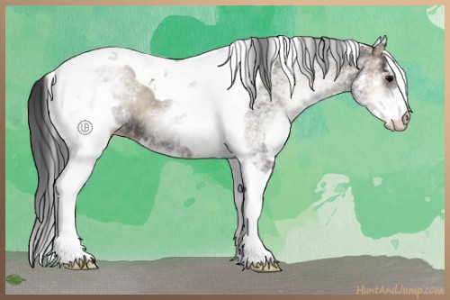 Horse Color:White Spotted Blue Onyx Tobiano Appaloosa Rabicano