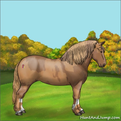 Horse Color:Chestnut  and Chestnut 