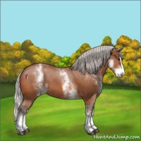 Horse Color:White Spotted Silver Bay Splash