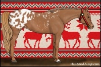 Horse Color:Chestnut Appaloosa 