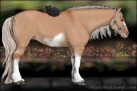 Horse Color:Silver Bay Dun Sabino Tobiano Frame Rabicano 