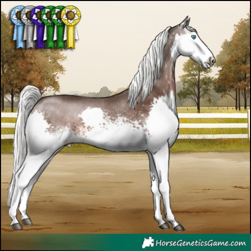 Horse Color:White Spotted Liver Chestnut Mushroom Splash 
